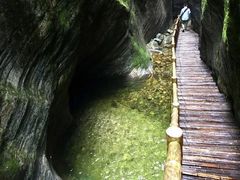 -牛背梁国家森林公园