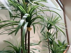 -糖糖屋•糖水•雪花冰店(时尚天河店)