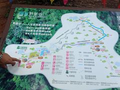 -野象谷景区