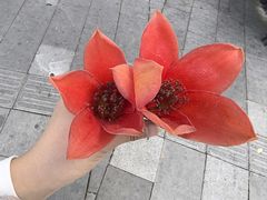 -天河体育中心