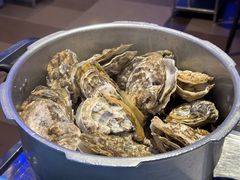 -千岛蚝高压锅生蚝·人参火锅(白云万达店)