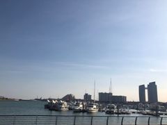 -渡海小渔村.老辈日照菜
