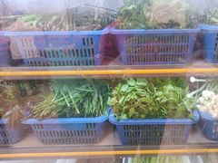 -老味道1992(武当山店)