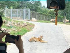 -西安秦岭野生动物园