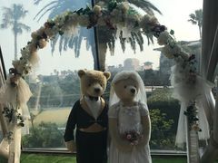 -济州岛泰迪熊博物馆