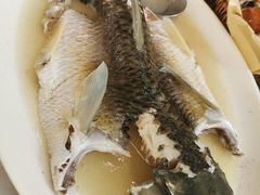 -芭厘农庄老字号·清远鸡