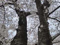 -苏州上方山国家森林公园