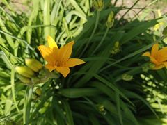 -黑龙江省森林植物园
