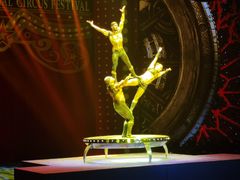 -珠海横琴长隆《卡卡虎奇遇记》