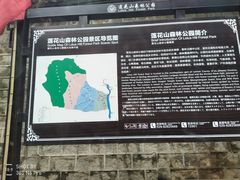 -王顺山国家森林公园