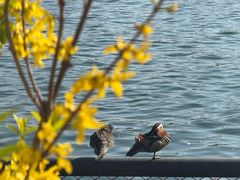 -小王府(什刹海店)