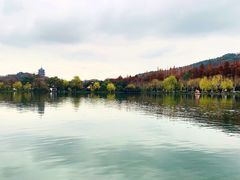 景点-西湖游船