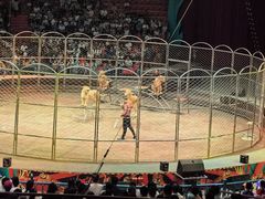 -俄罗斯国家大马戏团