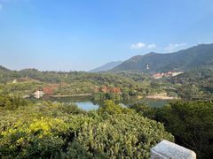 -深圳仙湖植物园