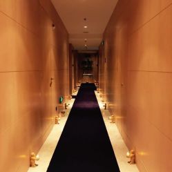 点击看大图 大堂-iSpa