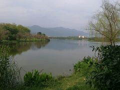 -飞来湖湿地公园