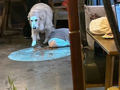 -咖法森林·咖啡  酒吧(天河店)