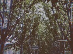 -河南省黄河迎宾馆