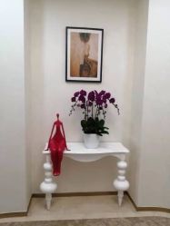 -JUVA欧华医美连锁