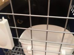 -宠爱国际动物医院·消化内科·心肾内科·ISFM猫友好(望京店)