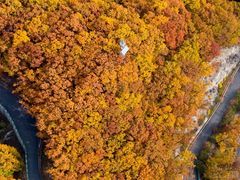 -木兰云雾山
