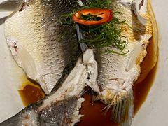 清蒸桂花鱼-石岐佬中山菜馆(张溪店)