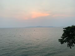 -卷心菜和避孕套餐厅(Pattaya)