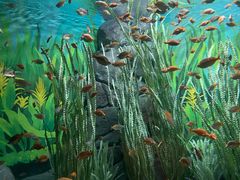 -上海海洋水族馆
