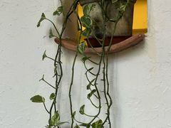 -花迹(富春江东街店)