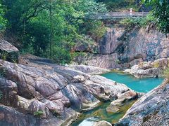 -广州白江湖森林公园