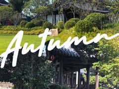 -江心屿景区