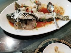 -中苑海韵