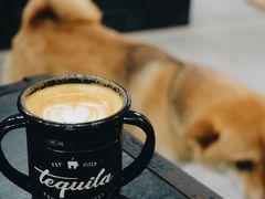 piccolo-Tequila Espresso(嘉善路店)
