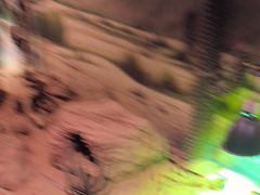 -正佳雨林生态植物园