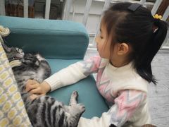 -小时光咖啡馆(北锣鼓巷店)
