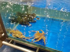 -麦德龙(郑东店)