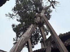 -太平天国侍王府