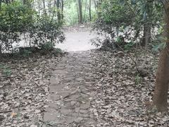 -雨花胜境