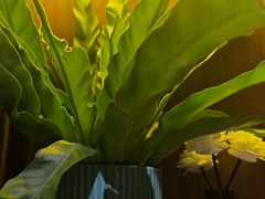 -半秋山西餐厅(襄阳万达店)