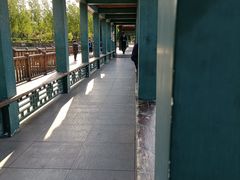 -莲花池公园