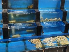 水产区-丹东汇侨希尔顿花园酒店自助餐