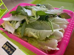 -15年老字号鑫鑫猪肚鸡·椰子鸡海南火锅(兴隆华侨农场店)