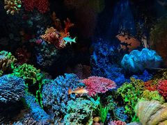 -中国湿地博物馆