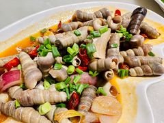 -华盛丰温州大排档(东三环南路店)