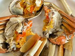 -蟹天蟹地农家菜·阳澄湖大闸蟹(浅水湾店)