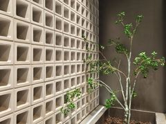 -喜茶(振华商厦店)