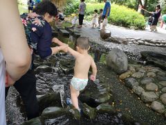 -成都市活水公园