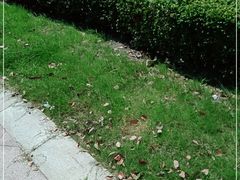 -汉堡王(嘉定宝龙城市广场)