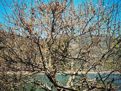 -广州市流溪河国家森林公园