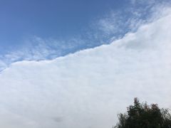 -梁鸿国家湿地公园